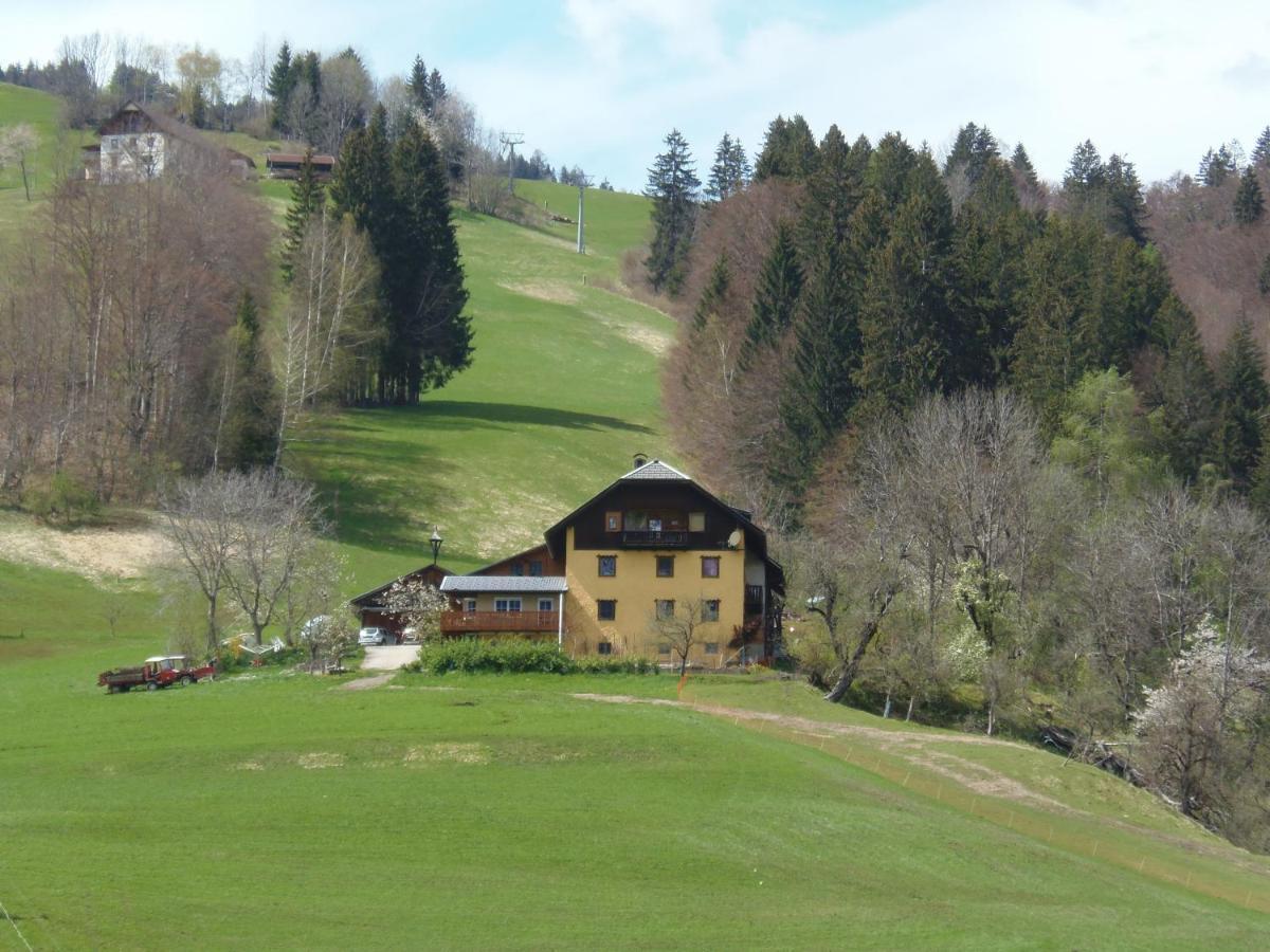 Villa Casa Safra à Kotschach-Mauthen Extérieur photo